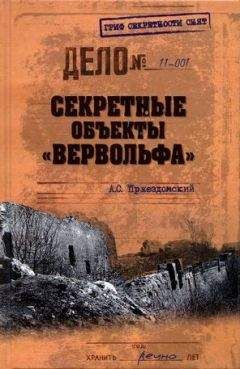 Фрайгер Рут - Вервольф. Осколки коричневой империи