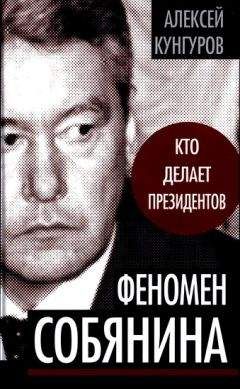 Алексей Санаев - Русский пиар в бизнесе и политике