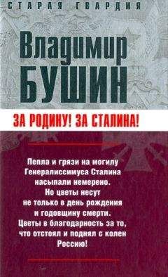 Владимир Бушин - Карнавал Владимира Путина