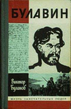 Николай Задонский - Кондратий Булавин