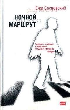 Владимир Порудоминский - Короткая остановка на пути в Париж