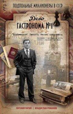 Юрий Каменский - Чиновник для особых поручений