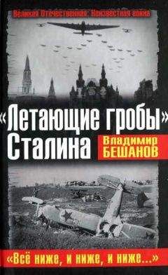 Владимир Котельников - Самолеты-гиганты СССР