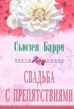 Сьюзен Барри - Билет в неизвестность