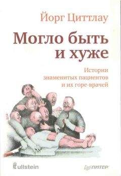Лидия Флем - Повседневная жизнь Фрейда и его пациентов