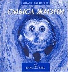 Михаил Заречный - Квантово-мистическая картина мира. Структура реальности и путь человека