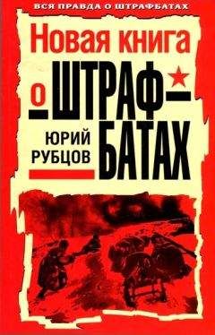 Борис Горбачевский - Победа вопреки Сталину. Фронтовик против сталинистов