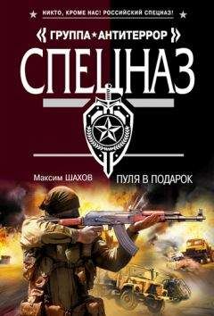 Александр Мазин - Черный Стрелок 2