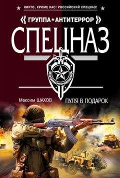 Александр Тамоников - Бой после победы