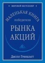 Алексей Волков - Инвестиционные проекты: от моделирования до реализации