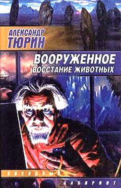 Игорь Дручин - Древняя музыка Земли