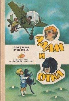 Богумил Ржига - Поездка Гонзика в деревню. О самолетике «Стриже»