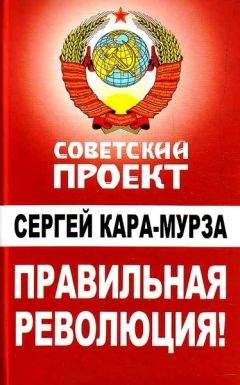 Сергей Кара-Мурза - Оппозиция, или как противостоять Путину