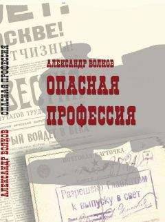Александр Борин - Проскочившее поколение