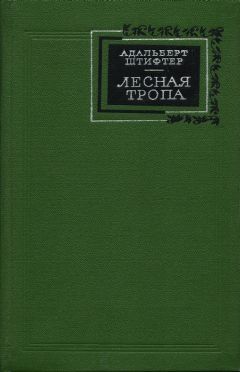 Адальберт Штифтер - Лесная тропа