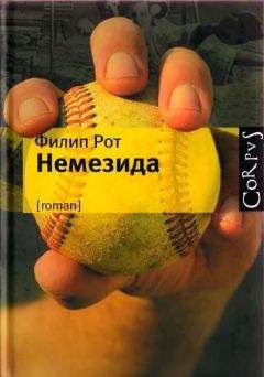 Николь Краусс - Большой дом