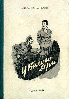 Владимир Богомолов - Поворотный день