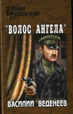 Василий Веденеев - «Волос ангела»