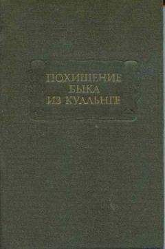 Сергей Буридамов - Чужие камни Ноккельбора