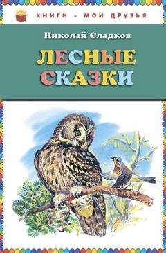 Николай Сладков - Поющий бархан