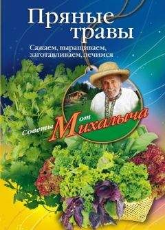 Марк Цывкин - Ничего кроме правды - о медицине, здравоохранении, врачах и пр