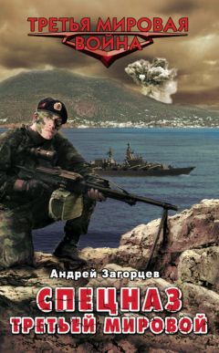 Андрей Загорцев - Спецназ Третьей Мировой. Русские козыри