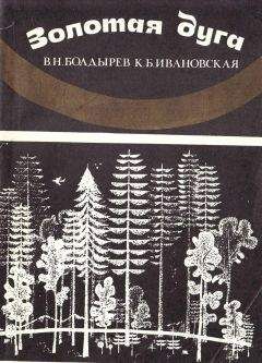 Юрий Липовский - В Хангай за огненным камнем