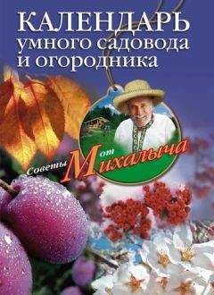 Николай Курдюмов - Умный огород в деталях