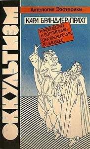 Ник Фаррелл - Магическое воображение. Практическое руководство по развитию сверхспособностей