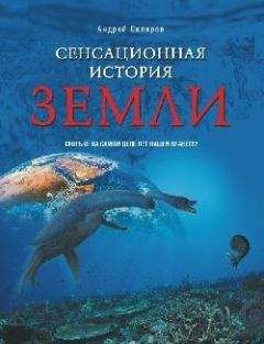 Андрей Скляров - Приложения к трактату «Основы физики духа»