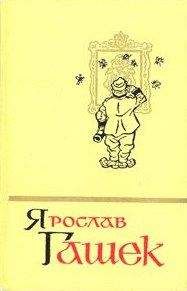 Ярослав Гашек - Похождения общительного человека