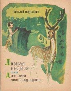 Жаклин Уилсон - Сахарная вата