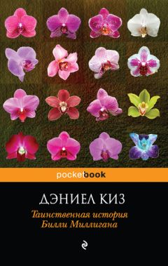 Александр Снегирёв - Разделение и чистота