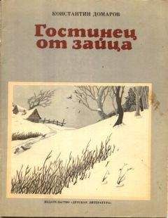 Нисон Ходза - Путешествие без карты