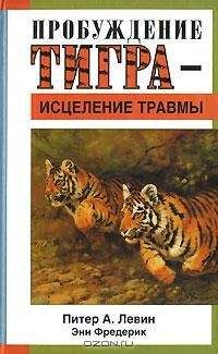 Дэнни Дрейер - Ци-бег. Революционный метод бега без усилий и травм