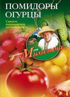 Николай Звонарев - Казан, мангал, гриль, барбекю. Лучшие блюда на открытом огне