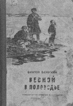 Серафима Власова - Ансаровы огни