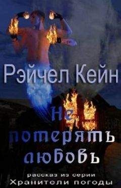 Рэйчел Кейн - Наступление бури