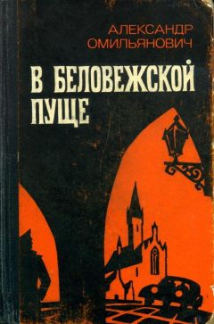 Александр Башибузук - Оранжевая страна. Фельдкорнет.