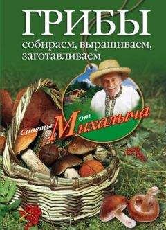 Николай Звонарев - Смородина. Сажаем, выращиваем, заготавливаем