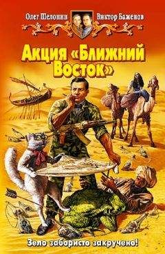 Олег Шелонин - Арканарский вор. (Трилогия)