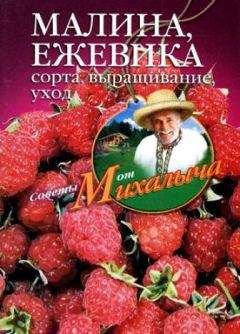 Галина Кизима - Ваш огород. Самое понятное руководство в иллюстрациях