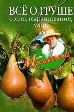 Анна Зорина - Помидоры, огурцы