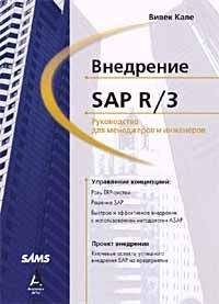 Джо Караганис - Медиа-пиратство в развивающихся экономиках