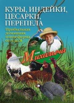 Иван Балашов - Куры мясных пород