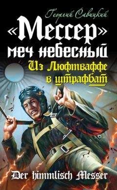 Гюнтер Бауэр - Смерть сквозь оптический прицел. Новые мемуары немецкого снайпера