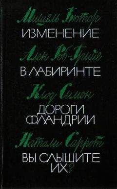 Ален Роб-Грийе - В лабиринте