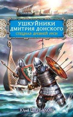 Борис Дедюхин - Василий I. Книга 2