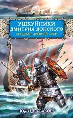 Виктор Поротников - Князь Святослав. «Иду на вы!»