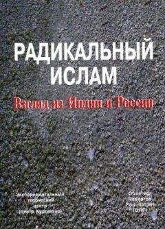 Е. Салыгин - Теократическое государство